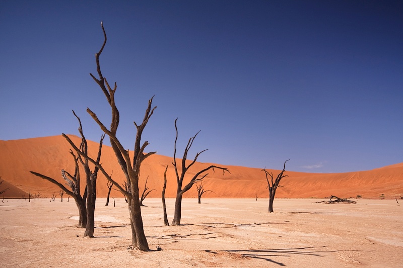 33. Sossusvlei, Namibia  Được coi là một trong những thiên đường thiên nhiên ngoạn mục nhất thế giới, không khó hiểu vì sao khi Sossusvlei trở thành điểm thu hút khách du lịch nhất của Namibia. Những cồn cát được hình thành từ hàng triệu năm trước từ những bụi cát bay từ dòng sông Orange tới Atlantic. Gió thổi từ hàng triệu năm qua đã “điêu khắc” Namibia thành những cồn cát cao nhất thế giới. Cát ở đây có màu đỏ của sắt oxit, tuy trông khô cằn nhưng nó vẫn giữ đủ độ ẩm cần thiết cho thực vật sinh sống.