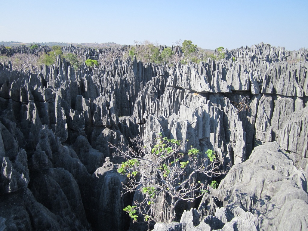 7. Rừng đá Tsingy, Madagascar  Nằm gần bờ Tây của Madagascar, rừng đá Tsingy với những mũi đá nhọn hoắt đã tạo nên khung cảnh kỳ vĩ cho khu vực này. Với vị trí địa lí độc đáo, rừng đá Tsingy Madagascar không chỉ là “công cụ” để bảo vệ rừng ngập mặn, quần thể chim hoang dã mà còn là nơi tham quan và du lịch khám phá mạo hiểm của rất nhiều người. Bất chấp địa hình hiểm trở, hàng năm có hàng triệu người vẫn đến khu vực này để leo qua những vách núi và chinh phục khu rừng đá đẹp nhất trong tự nhiên này.