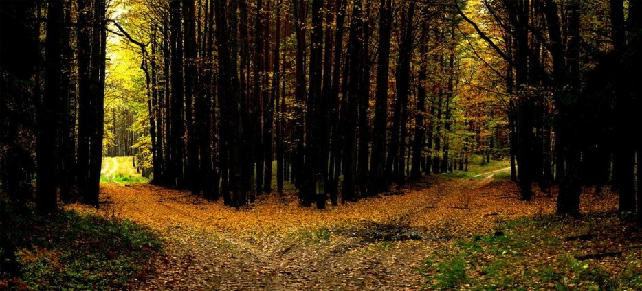 Ảnh: Stepping2yourdreams.files.wordpress.com