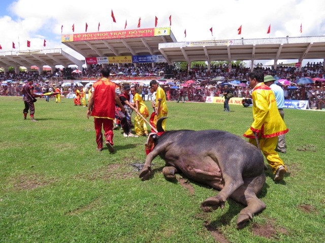 Có thể duy trì nhưng đừng giết trâu.