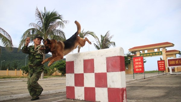 Huan luyen cho nghiep vu - 'mui chong thep' Bien phong hinh anh