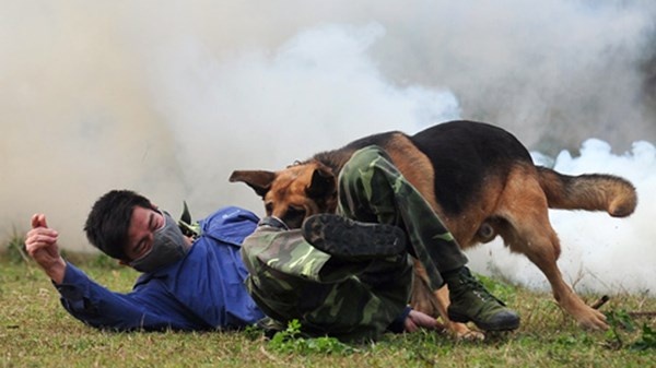 Tấn công tội phạm