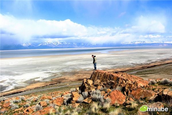 5.	Đảo Antelope, Mỹ Đảo Antelope là hòn đảo lớn nhất trong hồ Great Salt Lake của bang Utah, một trong những vùng đẹp nhất của của miền Tây nước Mỹ. Nếu màu sắc kỳ lạ của đá và những xoáy nước của lưu vực sông chưa đủ thu hút bạn, thì công viên của tiểu bang với rất nhiều loài động vật hoang dã như: Bò rừng, linh dương, chó sói Bắc Mỹ nhất định sẽ là điểm cộng, giúp làm phong phú thêm tình yêu của bạn với vùng đất này.