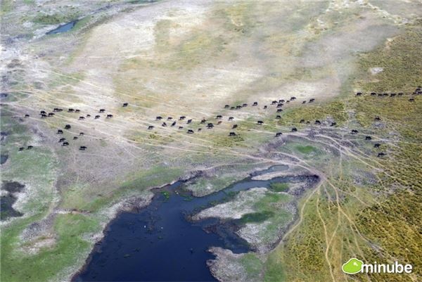 6.	Đồng bằng Okavango Delta, Botswana Vùng đầm lầy ngập nước rộng lớn của đồng bằng sông Okavango của Botswan đúng “chuẩn” là một vườn địa đàng thật sự của Eden. Nơi đây dân cư sinh sống khá thưa thớt, nhưng có rất nhiều loại động thực vật phong phú như: Trâu, hã mã, linh cẩu, cá sấu và là khu vực cuối cùng còn lại của châu Phi được miêu tả như một khu vực hoang dã thật sự.