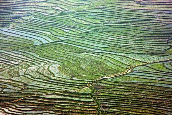 Vẻ đẹp của các thửa ruộng bậc thang đã khiến Sapa trở thành điểm đến rất thu hút khách du lịch, đặc biệt là những người đam mê nhiếp ảnh. Họ không quản ngại việc phải trèo đèo lội suối, vượt qua những con đường khó đi để có thể chụp được tấm ảnh ruộng bậc thang ở Sapa ưng ý nhất.