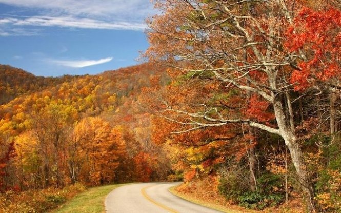 Đại lộ Blue Ridge, một trong những tuyến đường đẹp nhất của New England rực rỡ trong sắc thu - Ảnh: Telegraph