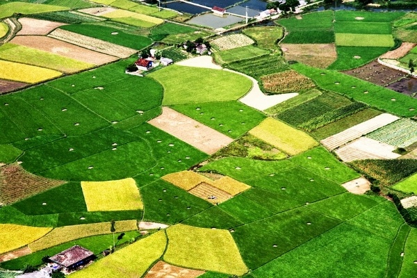 Những cánh đồng Bắc Sơn đẹp nhất là vào khoảng từ tháng 7 đến cuối tháng 11, khi những bông lúa đã bắt đầu chín, nhuộm một màu vàng tươi lên những thửa ruộng. Đây là thời điểm Bắc Sơn chào đón rất nhiều khách du lịch, đặc biệt là những người đam mê chụp ảnh. Được đứng trên đỉnh núi cao và thu hết khung cảnh cánh đồng vào ống kính là điều mà rất nhiều người muốn trải nghiệm.