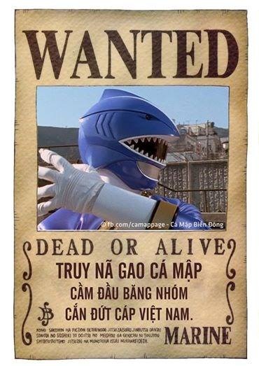 Không thể cầm lòng nhìn mạng xoay tít mù, dân tình đã ra lệnh truy nã tên cá mập nguy hiểm.