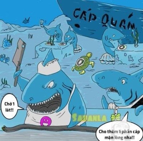 Rồi tưởng tượng lúc đàn cá này chế biến cáp quang thành các món ăn khác nhau.