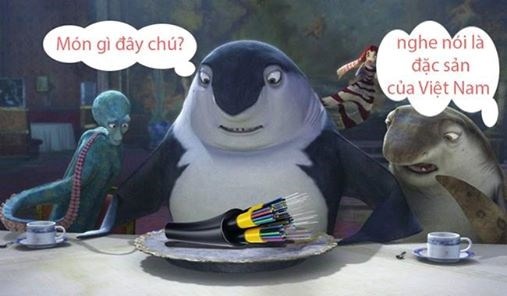 Cáp quang nghiễm nhiên trở thành món ăn ngon lành trong bữa sáng của cá mập, và được cho là đặc sản đến từ Việt Nam.