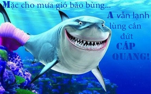 Nhưng nghi ngờ chính vẫn đặt lên một chú cá mập 