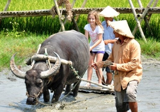 3 tour du lich dan da cua Viet Nam ‘don tim’ du khach hinh anh