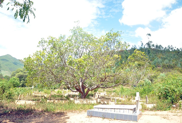 Mộ phần này được đặt trong khuôn viên trại phong Quy Hòa, bên cạnh là những ngôi mộ của các bệnh nhân phong khác.