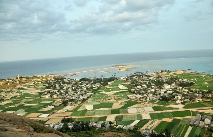 Những luống hành xanh nổi bật bên những ô ruộng trắng chuẩn bị vào mùa tỏi