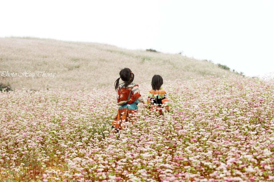 (Ảnh: Nguyễn Hữu Thông)