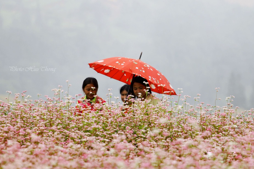 Hình ảnh những em bé dân tộc trong chiếc váy thổ cẩm đầy màu sắc nô đùa giữa những cánh đồng hoa toát lên một vẻ trong trẻo khiến người ta chỉ ngắm nhìn thôi mà cũng cảm thấy hạnh phúc.