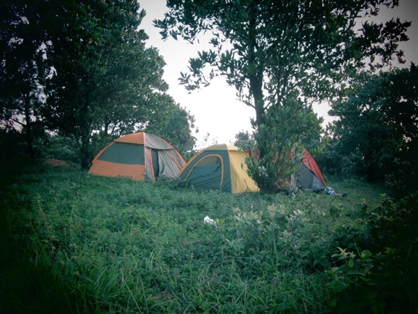 Du khách có thể cắm trại ở trên đỉnh Hàm Lợn hoặc ven hồ Núi Bàu. Ở đây cung cấp dịch vụ cho thuê trại và củi khô với giá khá rẻ. Nếu cắm trại qua đêm, vào buổi sáng sớm, du khách có thể chiêm ngưỡng khung cảnh thần tiên khi sương giăng mờ ảo trên mặt hồ.