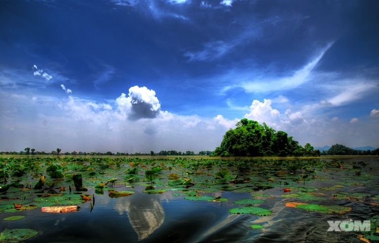 4. Hồ Quan Sơn Nằm cách Hà Nội khoảng 50km, Quan Sơn là một khu hồ rộng 850ha thuộc địa phận của 5 xã, huyện Mỹ Đức. Trong không khí se lạnh khi trời đất vào thu, một chuyến cắm trại giữa không gian thiên nhiên tươi đẹp ở đây sẽ giúp du khách tìm lại cảm giác an tĩnh, thư thái vốn thiếu vắng trong cuộc sống xô bồ chốn đô thị. 