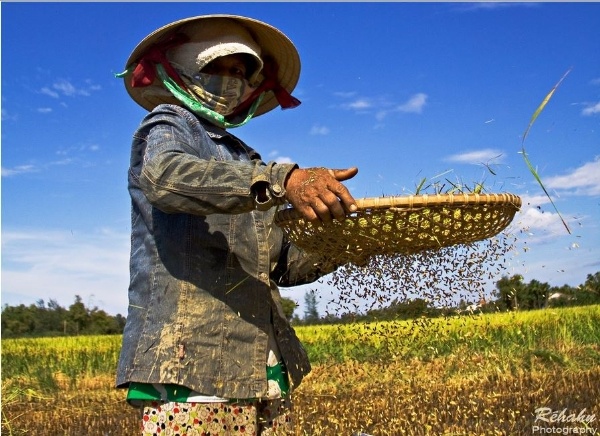 Hoặc hình ảnh lao động của chính những con người Việt Nam ở địa điểm anh đặt chân đến.