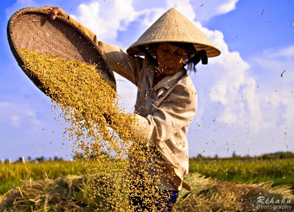 Anh chỉ mong muốn những bức ảnh chân thật của mình được người Việt Nam được đón nhận và chia sẻ, đó là niềm vui, là động lực để anh tiếp tục chụp và cho ra đời cuốn sách mang tên 