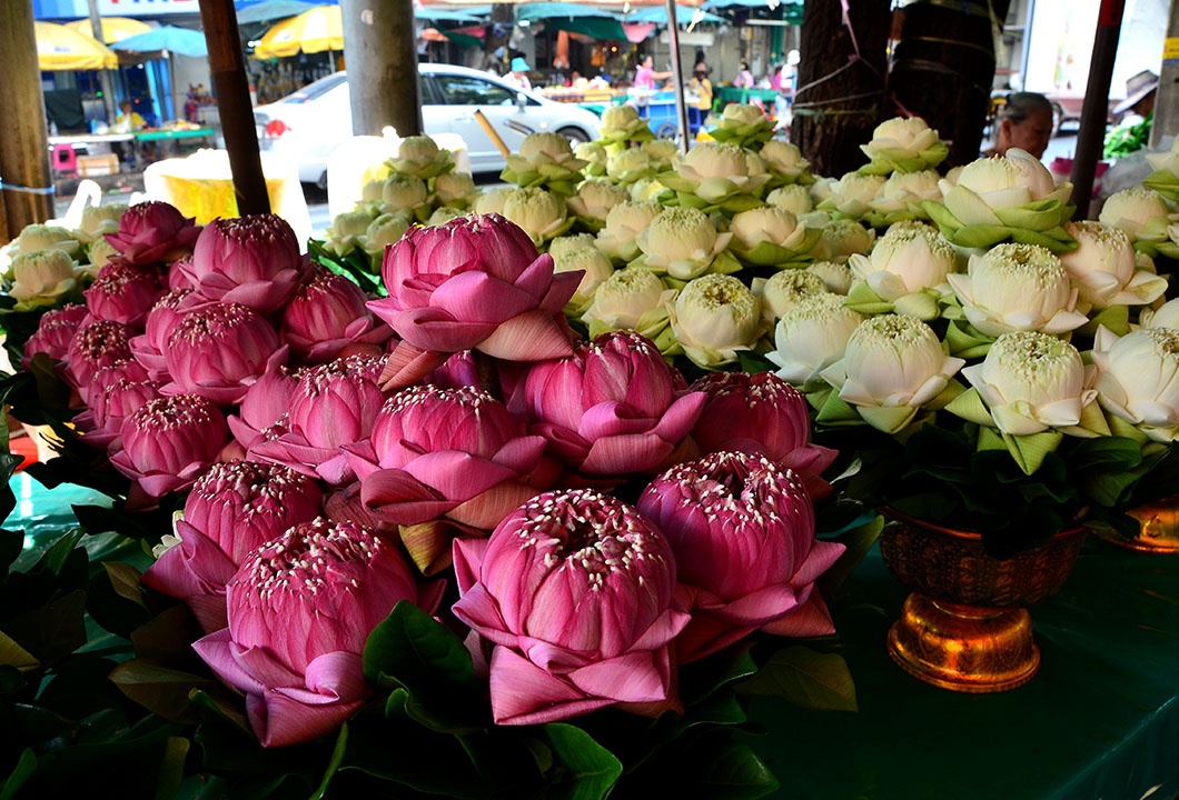 10 cho hoa noi tieng nhat the gioi hinh anh