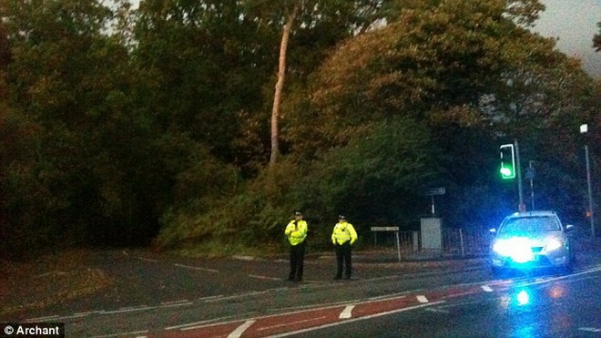 Hai con bò đã làm loạn đường phố trong 5 tiếng bất chấp 