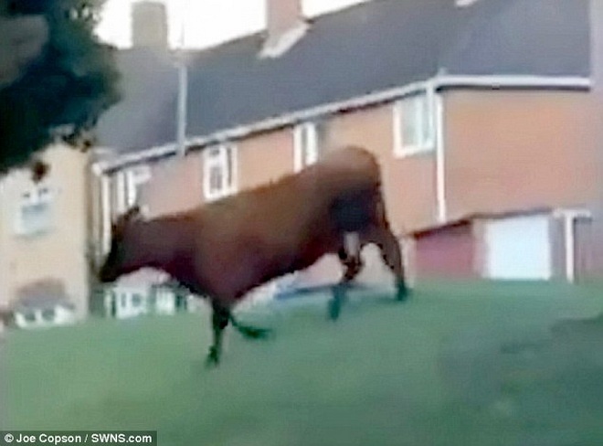 Cảnh sát giao thông ở Norfolk đã buộc phải chặn lối vào ở một số tuyến đường.