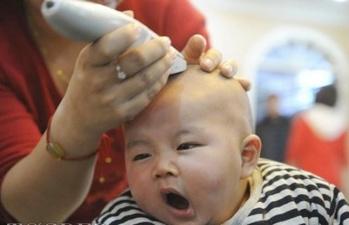 Meo cat toc mien phi hinh anh