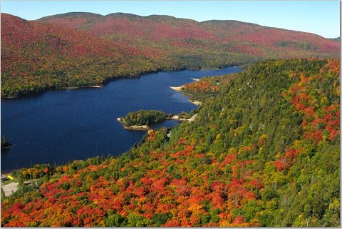 Bán đảo Gaspé, Quebec, Canada: Dọc bờ biển Quebec, lá thích chuyển đỏ, biểu tượng trên lá cờ của Canada. Ở bán đảo Gaspé, những cây thích vàng rực nổi bật trên màu xanh biếc của nước vịnh St. Lawrence. Bạn có thể đi bộ trên dãy núi Gaspésie, hay ngắm nhìn cảnh đẹp từ xa trong lúc đi xem cá voi ở công viên quốc gia Forillon.