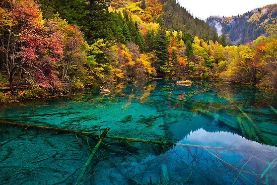 Thung lũng Jiuzhaigou, Tứ Xuyên, Trung Quốc: Thung lũng Jiuzhaigou là một trong những nơi có hệ thực vật phong phú nhất Trung Quốc. Vào mùa thu, những tán lá đỏ đua sắc cùng những ngôi làng và những hồ nước xanh biếc nằm rải rác trên vùng đất tuyệt diệu này.