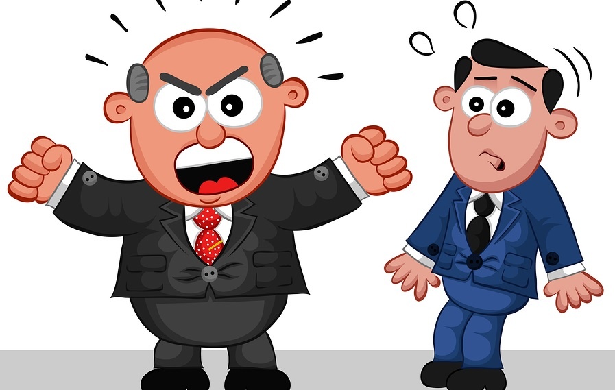 Ung cu vien tinh te hinh anh