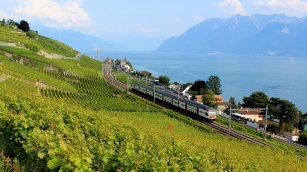 Tham doi nho di san the gioi hinh anh