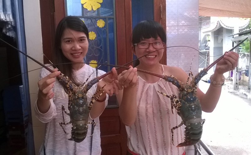 Những con tôm hùm có trọng lượng lên đến gần 1kg, cầm khá chẫm tay.