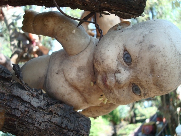 Bi an hon dao cua hang ngan con bup be cut tay, mat dau hinh anh