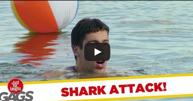 Tro dua ca map hinh anh