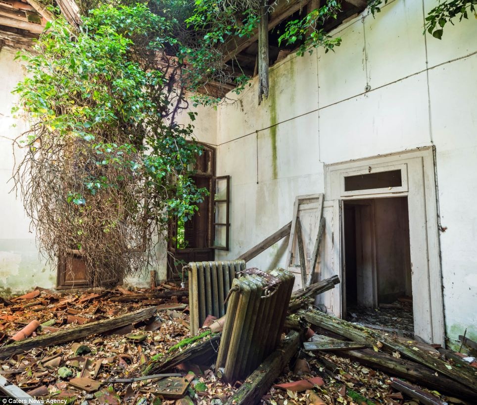 Tuy nhiên do nghĩ đây là triệu chứng của căn bệnh tâm thần nên lời nói của các bệnh nhân đều không được để ý.