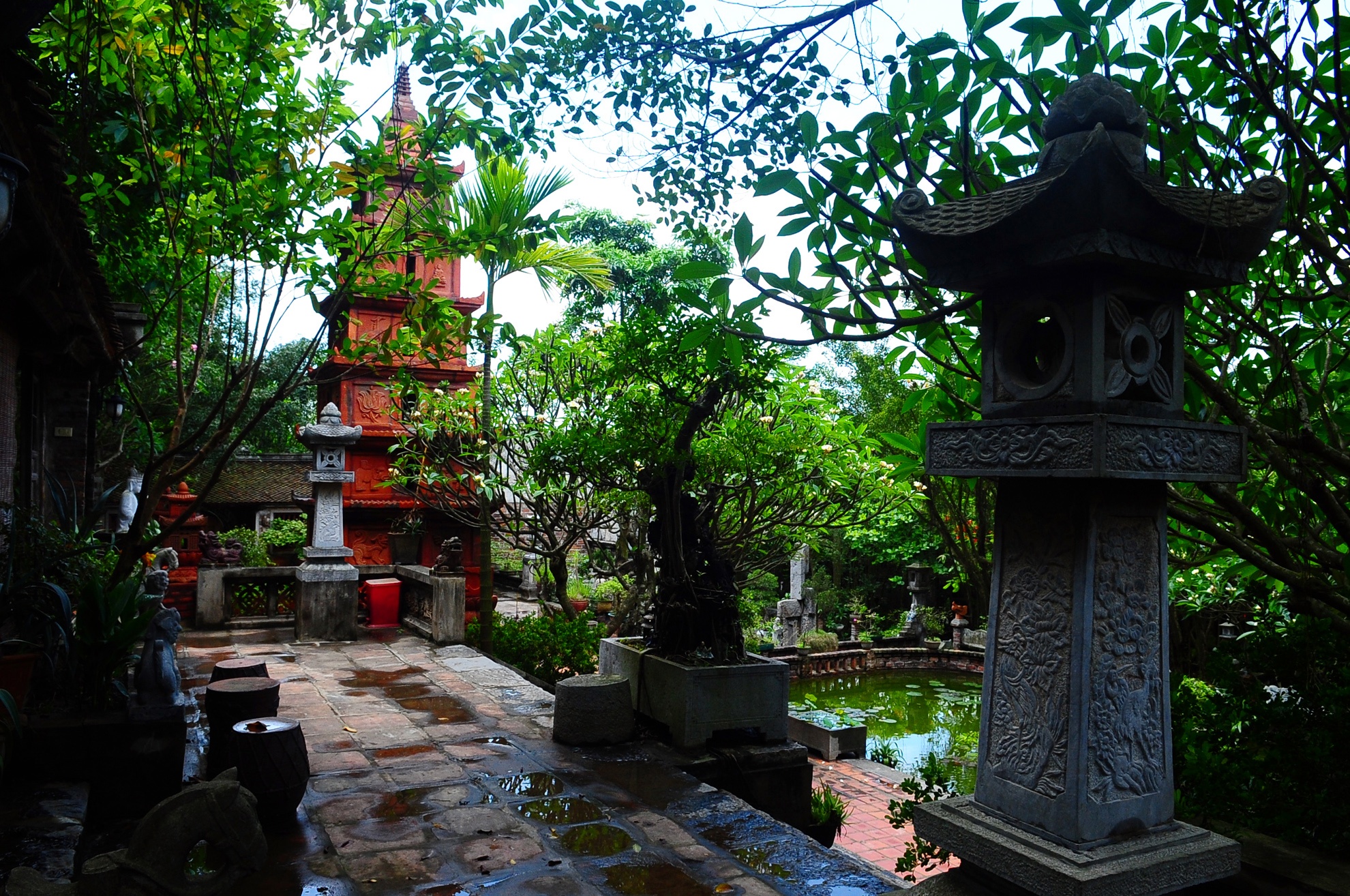 Viet Phu Thanh Chuong duoc coi la chon xa xi tren Telegraph hinh anh