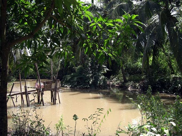 Cau tom o Viet Nam duoc du khach chu y hinh anh