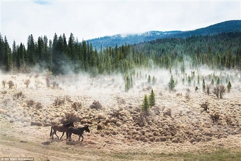 Cảnh đẹp như mơ.