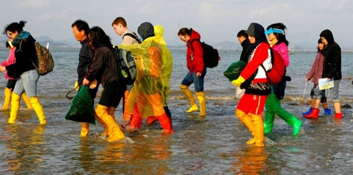   Mulberry - một bà lão sống một mình trên đảo Modo hưu quạnh. Người con gái tuy thương mẹ già, nhưng không có cách nào trở về nhà thăm mẹ. Bà mẹ ngày càng héo hon, gầy mòn vì nhớ con gái. 