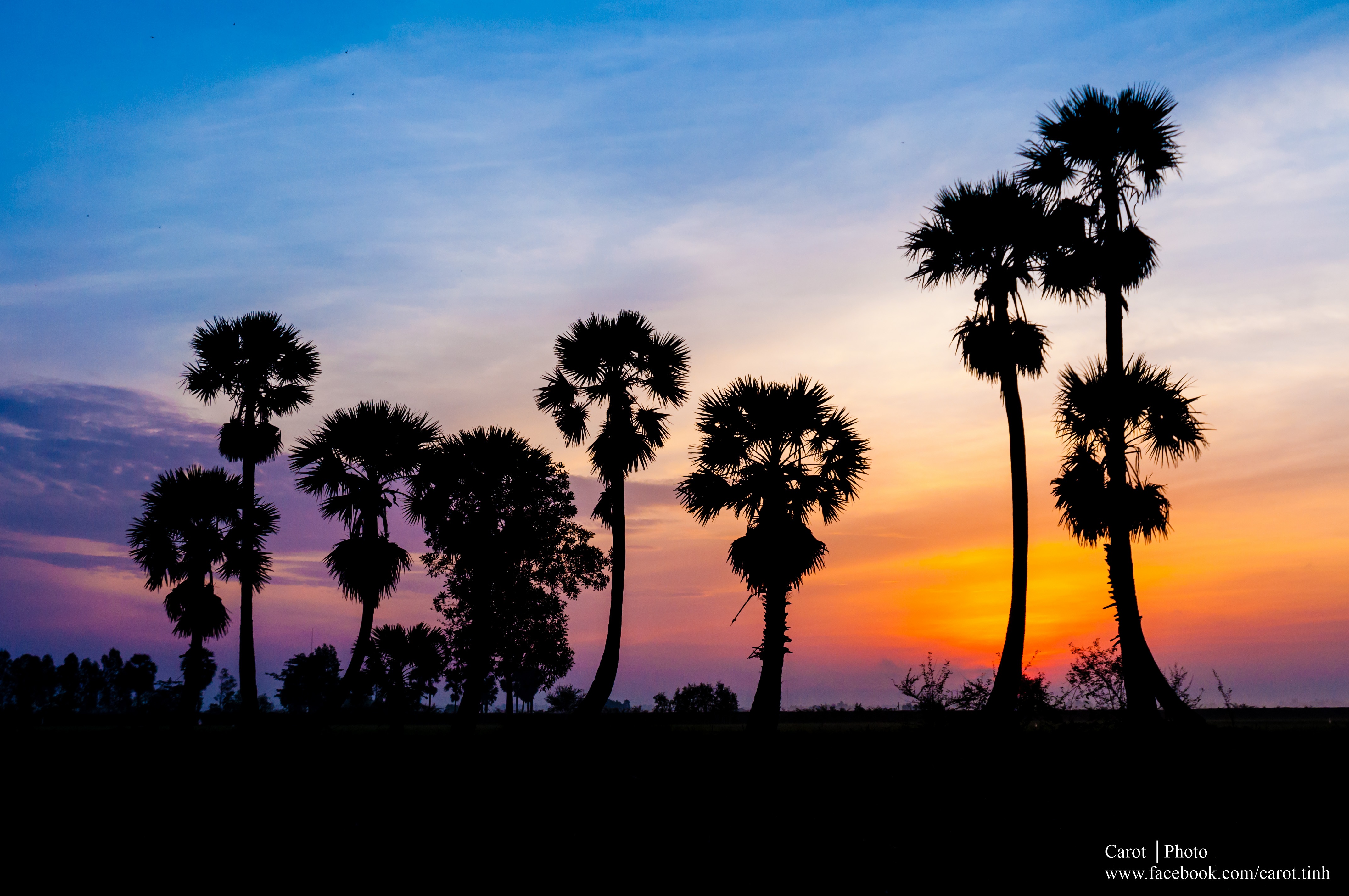 Hoàng hôn trên cánh đồng Thốt Nốt - Tri Tôn, An Giang.