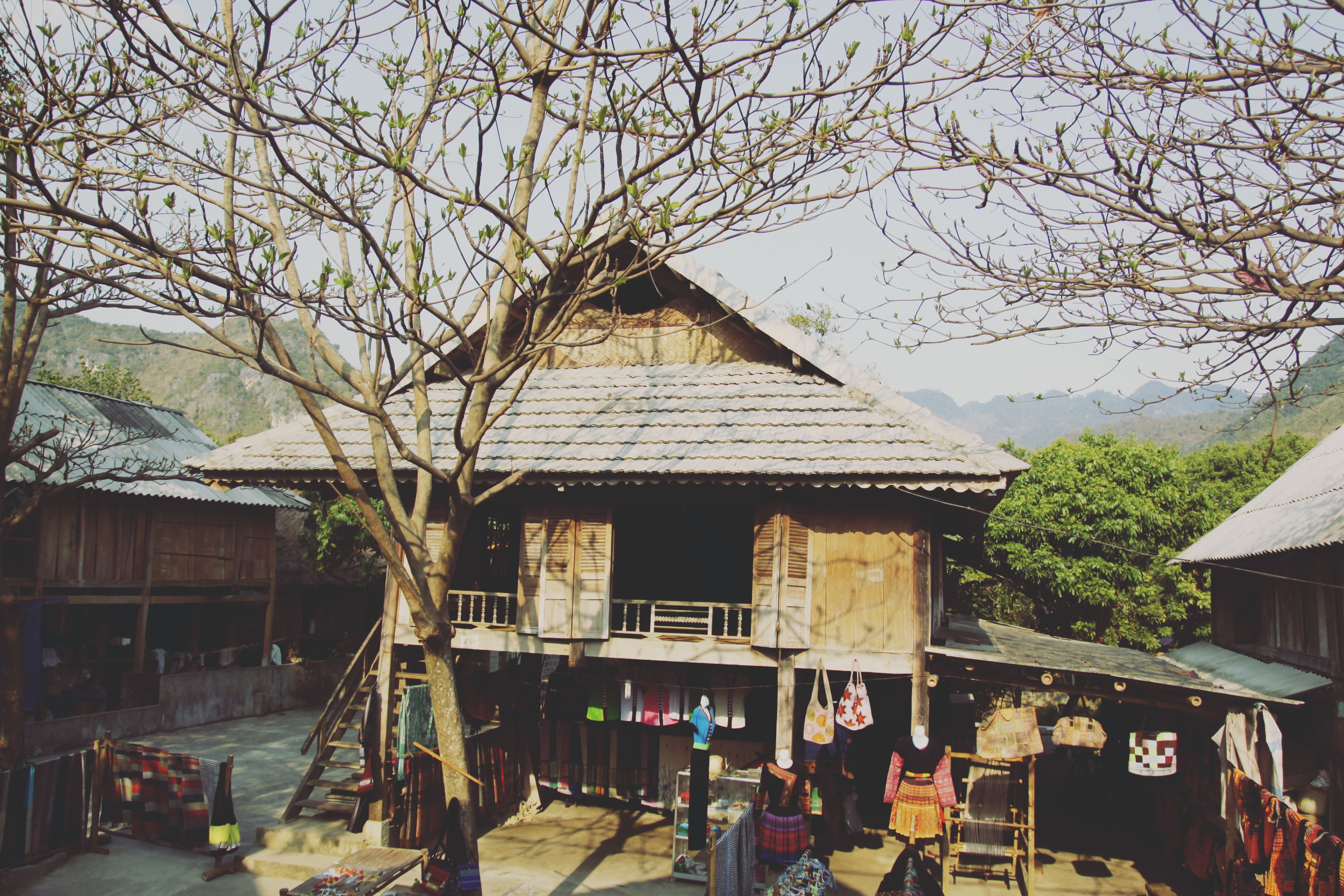 Tim binh yen o thung lung Mai Chau hinh anh