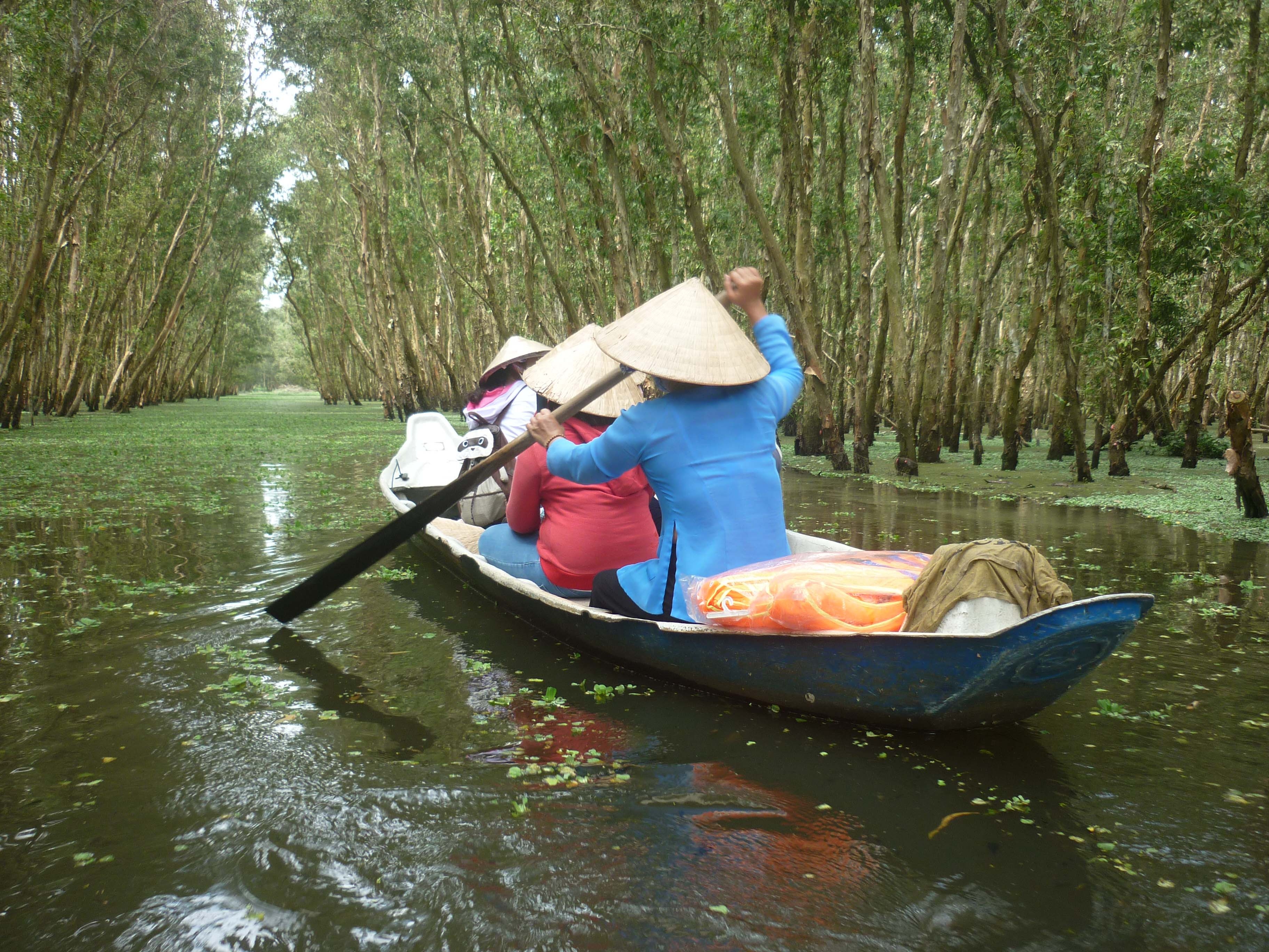 Hao hung di tren dong song beo o rung tram Tra Su hinh anh