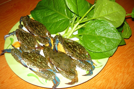 Ghe nau mong toi hinh anh