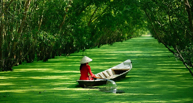 Ve song nuoc Vinh Long hinh anh