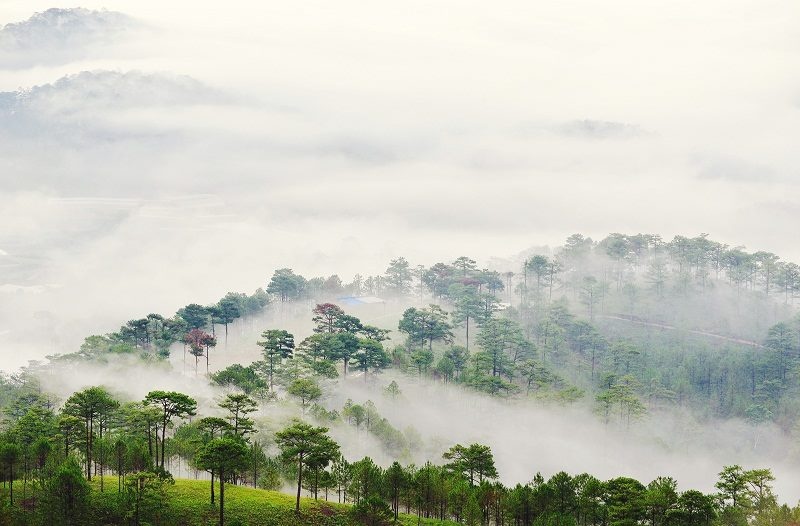 Ga lu khach den xu so buon tenh hinh anh