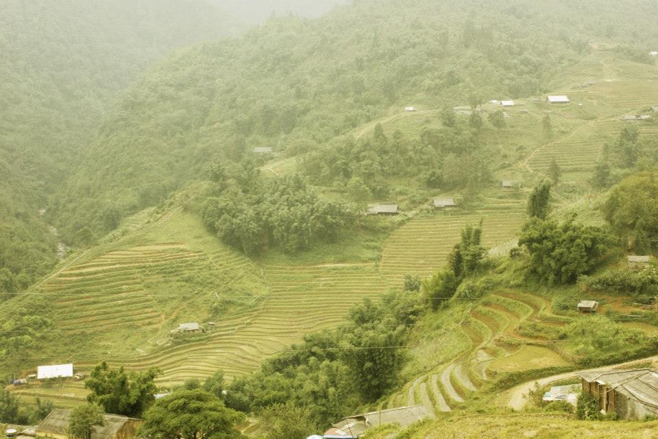 Phong cảnh Sapa thật đẹp và hùng vĩ. Nơi đây ẩn chứa nhiều điều kì diệu của tự nhiên. Với những cách đồng ruộng bậc thang trải dài khắp sườn núi.