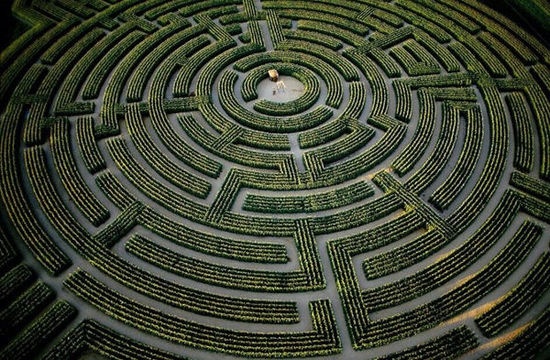 4. Mê cung hoa hướng dương -  Vườn động vật hoang dã Longleat (Wiltshire, Anh): Cứ mùa đông đến, nơi đây lại cắt bỏ cây cũ, thiết kế dàn cây mới, tới mùa xuân, một mê cung mới tinh lại xuất hiện. Mở cửa từ năm 1996, đã có tới hơn 85.000 du khách tới thử sức ở nơi đây. 