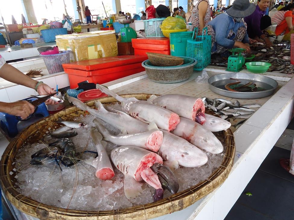 Cá mập con được bày bán trong chợ hải sản.