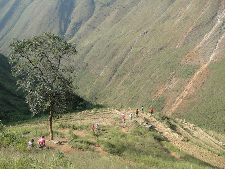 Đi thêm 1 đoạn thì đến ruộng ngô, lúc này đã thu hoạch cả rồi.